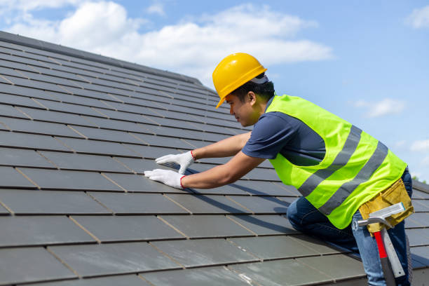 Best Storm Damage Roof Repair  in Warroad, MN
