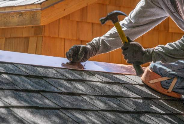 Best Asphalt Shingles Roofing  in Warroad, MN